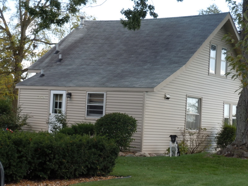 Pete Lake Washtenaw County Michigan